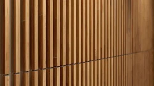 Aksen Wood Slat (WPC) yang Hangat